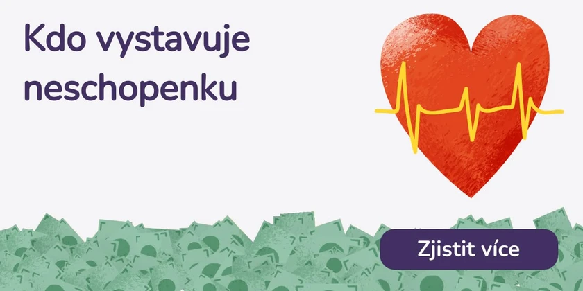 Kdo vystavuje neschopenku