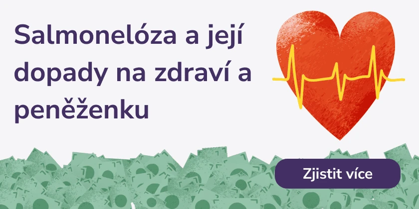 Salmonelóza a její dopady na zdraví a peněženku