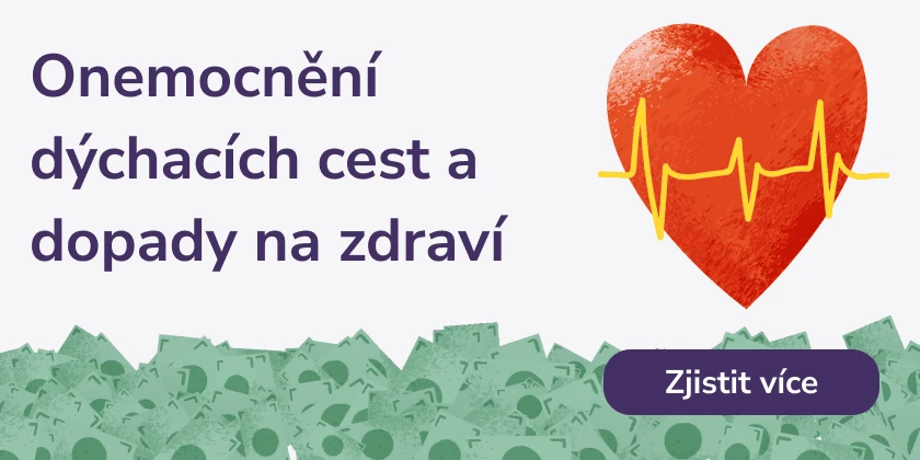 Onemocnění dýchací cest a dopady na zdraví a peněženku