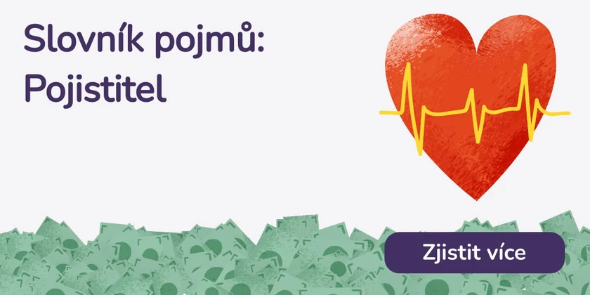 Pojistitel
