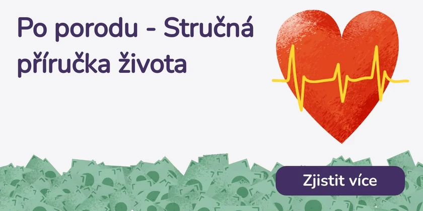 Po porodu - Stručná příručka života