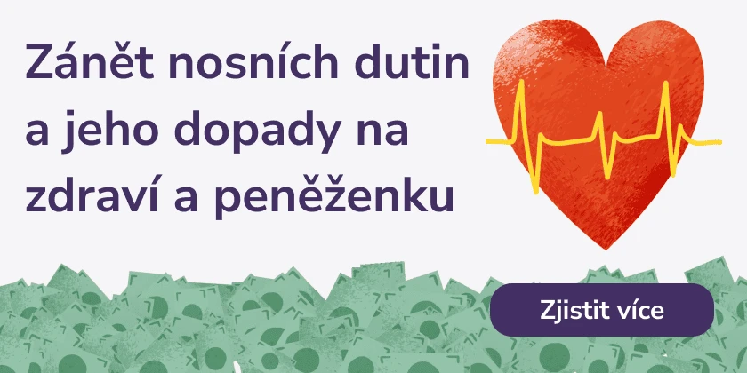 Zánět vedlejších nosních dutin a jejich dopady na zdraví a peněženku
