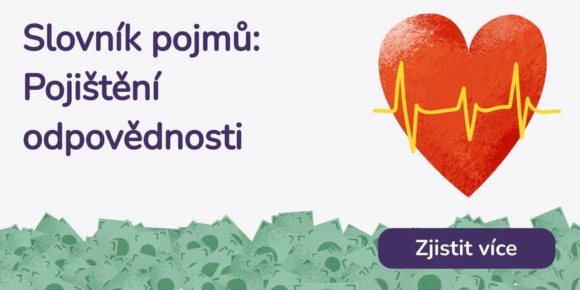 Pojištění odpovědnosti