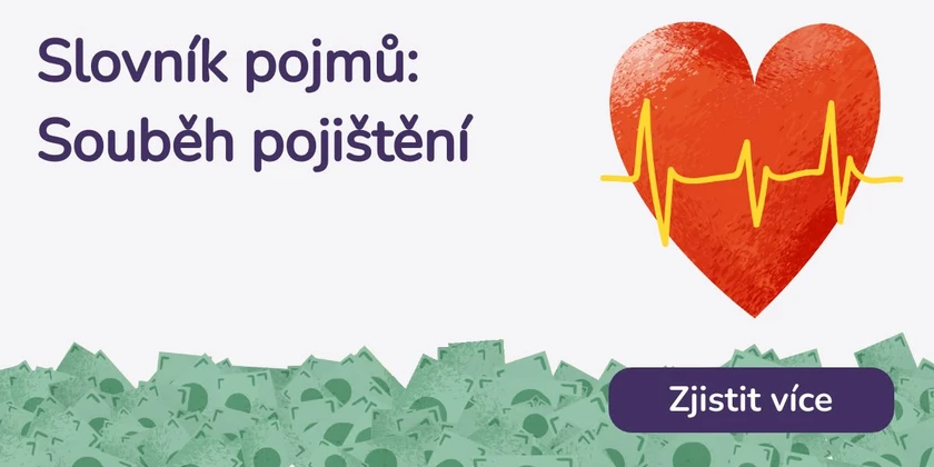 Souběh pojištění