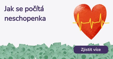Jak se počítá neschopenka