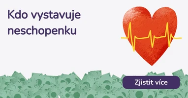Kdo vystavuje neschopenku