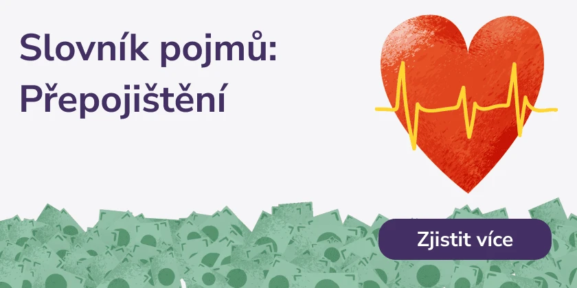 Přepojištění