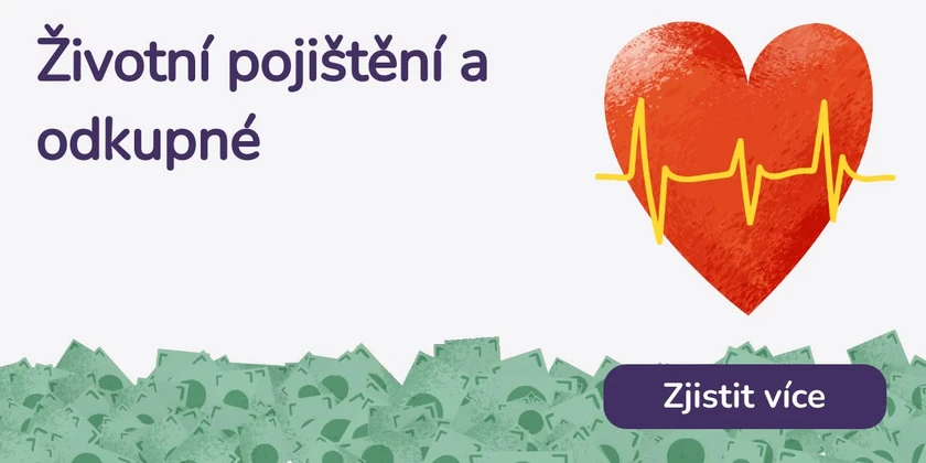 Životní pojištění a odkupné