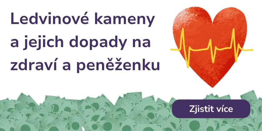 Ledvinové kameny a jejich dopady na zdraví a peněženku