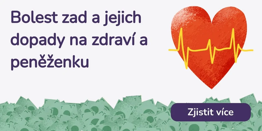 Bolest zad a jejich dopady na zdraví a peněženku