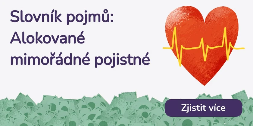 Alokované mimořádné pojistné