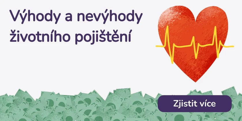 Výhody a nevýhody životního pojištění