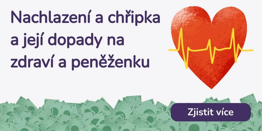 Nachlazení a chřipka a její dopady na zdraví a peněženku