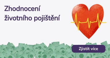 Zhodnocení životního pojištění