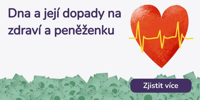 Dna a její dopady na zdraví a peněženku