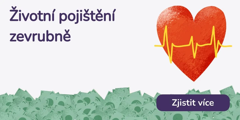 Životní pojištění zevrubně