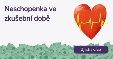 Neschopenka ve zkušební době