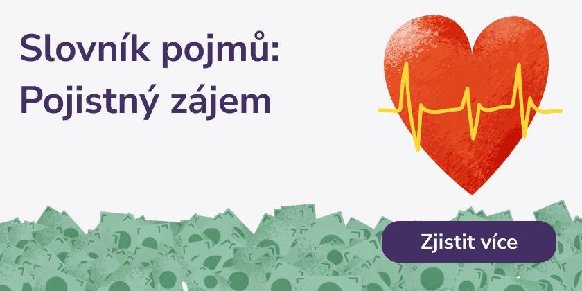 Pojistný zájem