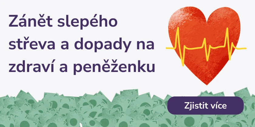 Zánět slepého střeva a jeho dopady na zdraví a peněženku