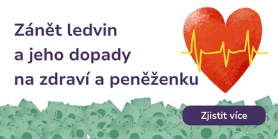 Zánět ledvin (pyelonefritida)